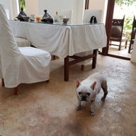 Atmosphere of Al Medina Beach House