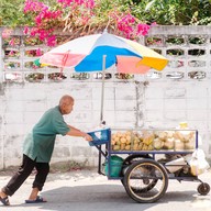 ผลไม้ลุงคุง