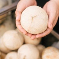 ผลไม้ลุงคุง