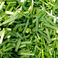 เมนูของร้าน ขนมผักกาดชัยนาท