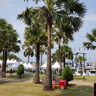 Ocean Marina Yatch Club