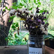 บรรยากาศ หลงป่า