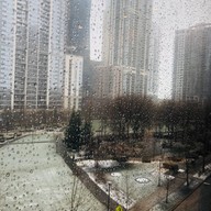 Andy’s Thai Kitchen, Chicago