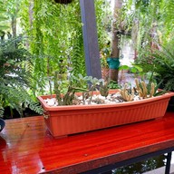 Crystal Box Coffee & Wine Zone