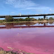 Pink Lake Melbourne