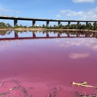 Pink Lake Melbourne