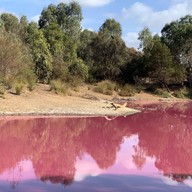 Pink Lake Melbourne