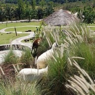 สวนละไม Steak House