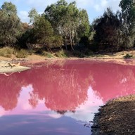 Pink Lake Melbourne