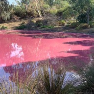 Pink Lake Melbourne