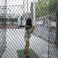 บรรยากาศ Bangkok Batting Center