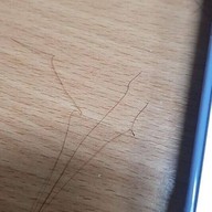 The Cortice Hair Salon