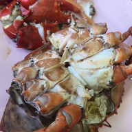 พิกุลโภชนา