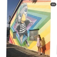 Yala bird city street art