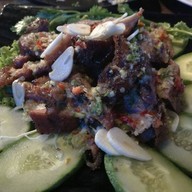 เมนูของร้าน Sea Bass Bar & Restaurant