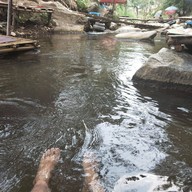 ร้านนั่งกิน ริมธาร