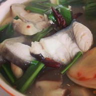 ครัวย่านมัทรี