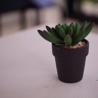 Grandcoffee8