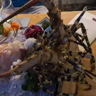 เมนูของร้าน Octo Seafood Bar