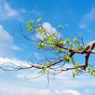 อุทยานแห่งชาติหมู่เกาะอ่างทอง