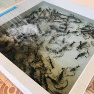 นาใสทะเลสด