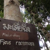 บรรยากาศ สวนสายน้ำ