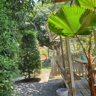 บรรยากาศ TOB YDONG restaurant & cafe (พลังใบตามสั่ง) อาหารตามสั่งธรรมดา
