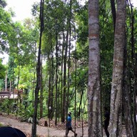 บรรยากาศ สวนสายน้ำ