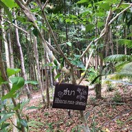 บรรยากาศ สวนสายน้ำ