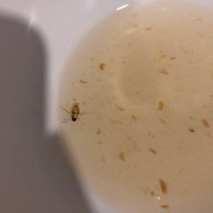 อาหารตามสั่งพี่จุก ปุณณวิถี ซอย 7