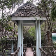 บรรยากาศ ป่าในเมืองบ้านโคกไร่