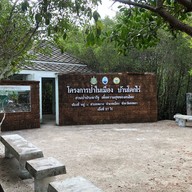 บรรยากาศ ป่าในเมืองบ้านโคกไร่