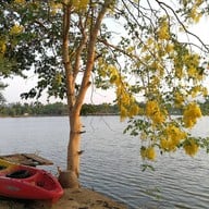 พิซซ่าต้นไม้