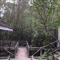 บรรยากาศ ป่าในเมืองบ้านโคกไร่