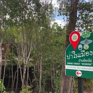 บรรยากาศ ป่าในเมืองบ้านโคกไร่