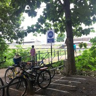 กาดเก๊าจาว