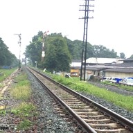 กาดเก๊าจาว