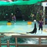 พิพิธภัณฑ์สัตว์น้ำราชมงคลตรัง