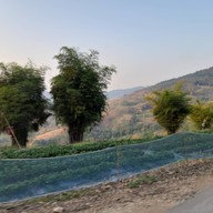 ภูฟ้าสวรรค์ รีสอร์ท