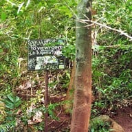 จุดชมวิวหาดไร่เลย์(Railay View Point)
