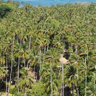 จุดชมวิวหาดไร่เลย์(Railay View Point)
