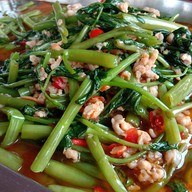 ป่าไผ่คาเฟ่