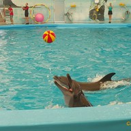 บรรยากาศ Dolphins Bay Phuket