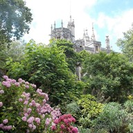 บรรยากาศ Quinta da Regaleira
