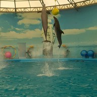 บรรยากาศ Dolphins Bay Phuket