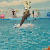 บรรยากาศ Dolphins Bay Phuket