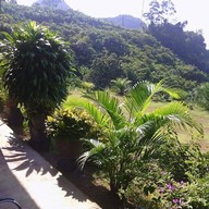 พังงาวิวพอยท์