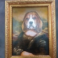 Dog Country Cafe พุทธมณฑลสาย2