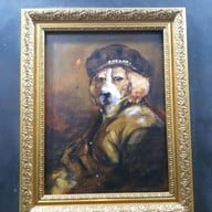 Dog Country Cafe พุทธมณฑลสาย2