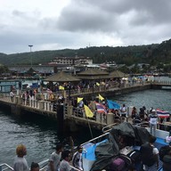 ท่าเรืออ่าวต้นไทร